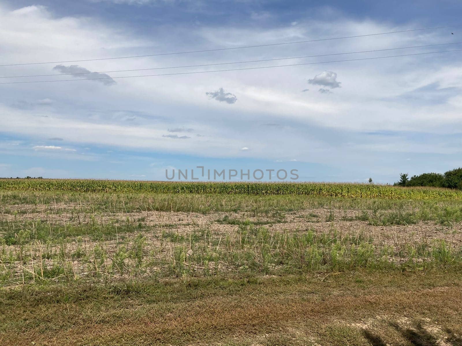 Panorama of a field the after harvest