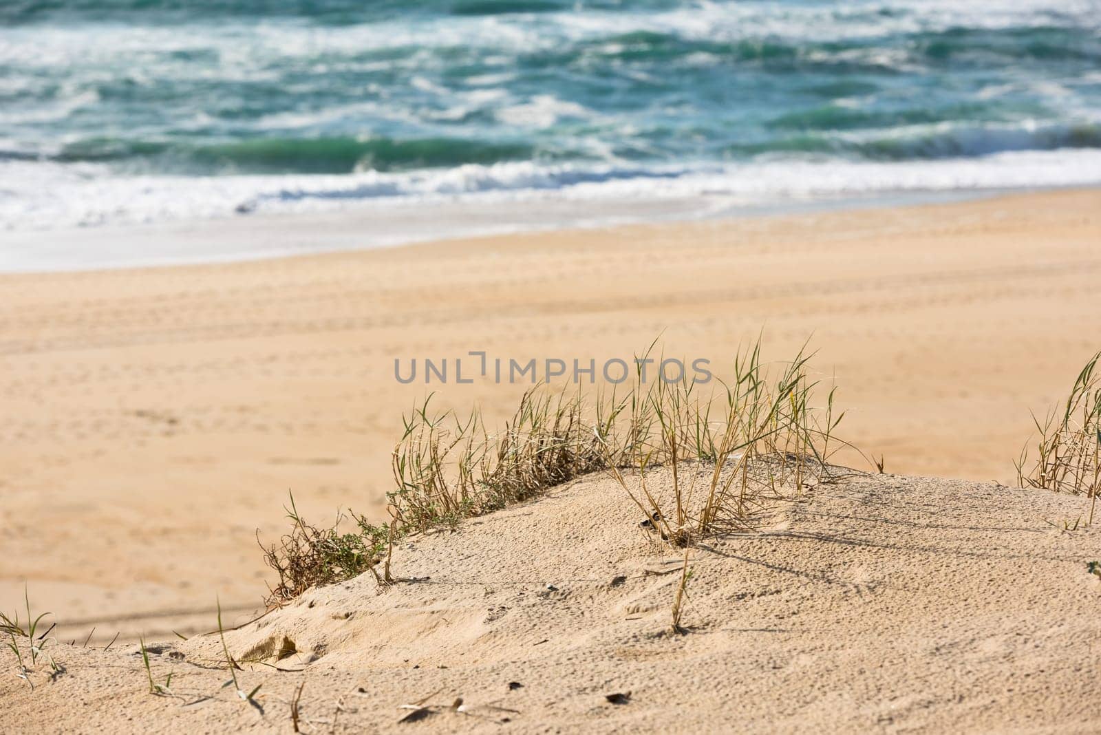 Sand beach of the basin of Arcachon, Capbreton, France
