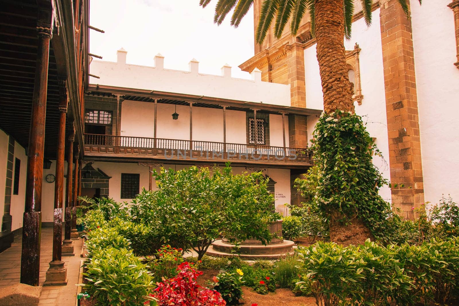 Gran Canaria, Spain, Canary Islands, Las Palmas - Jul 22, 2024. View of the inner courtyard of the Cathedral of Santa Ana in La Vegueta, the oldest historic district of Las Palmas.