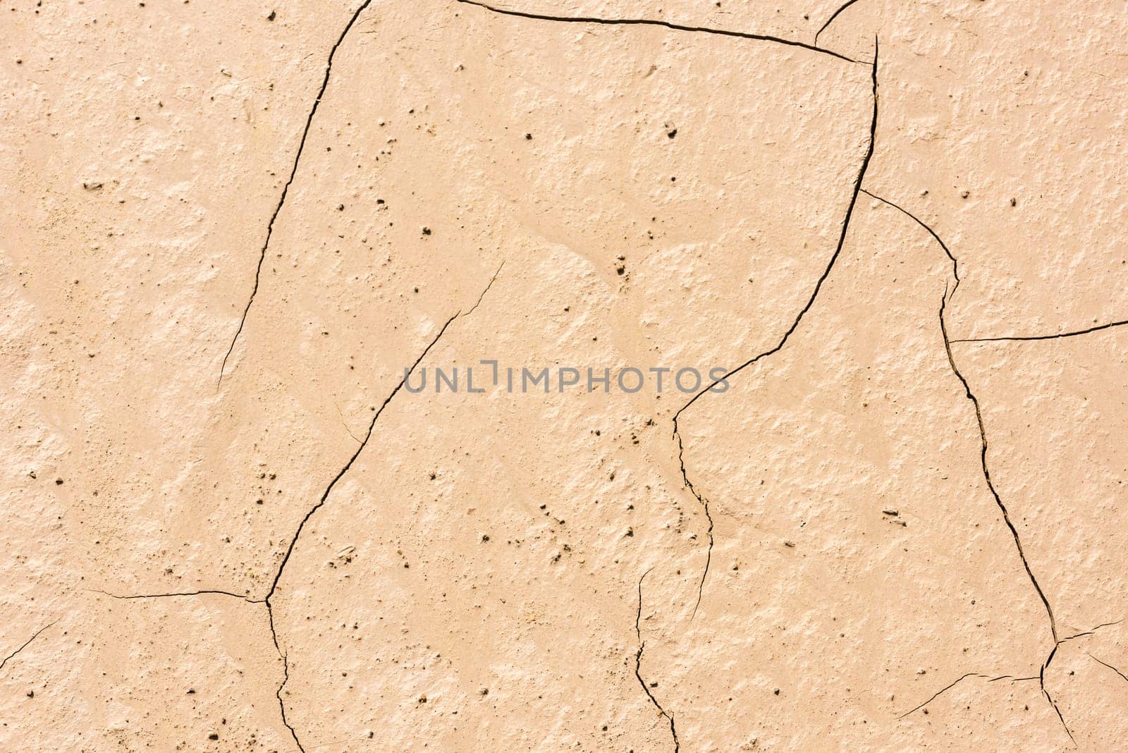details of a dried cracked earth soil. background