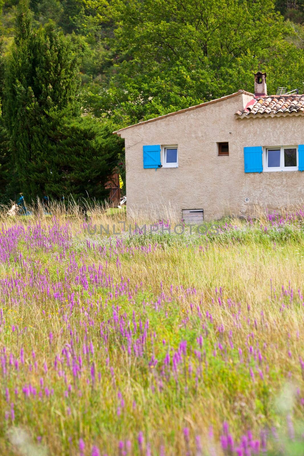 Stone farmhouse in rural Provence, France. Vertical shot