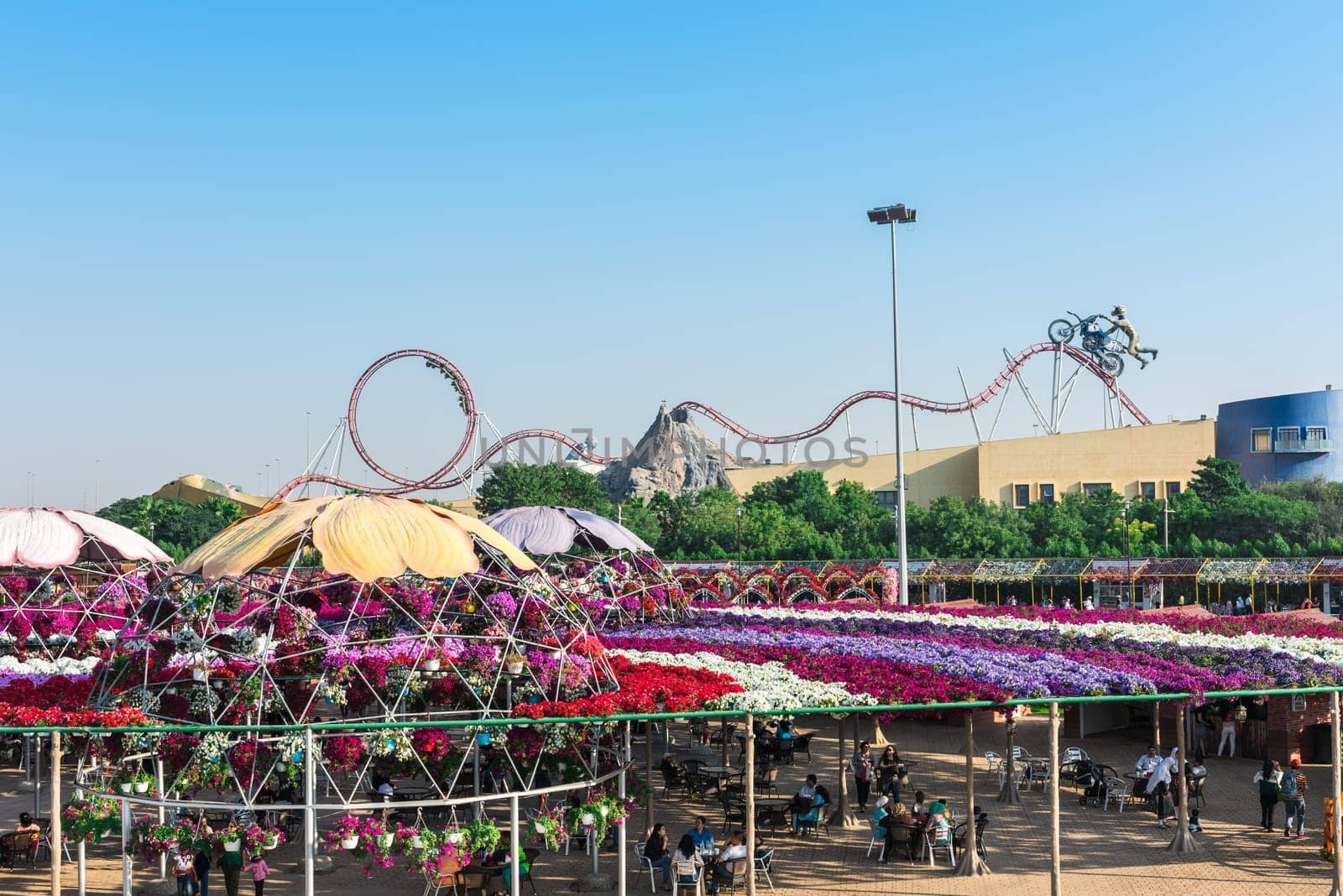 UAE, DUBAI - DECEMBER 30: dubai miracle garden with over million flowers on a sunny day December 30, 2014