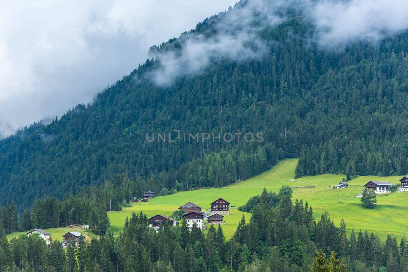 Traditional alpine houses in green forest Alps mountains. Horizontal shot