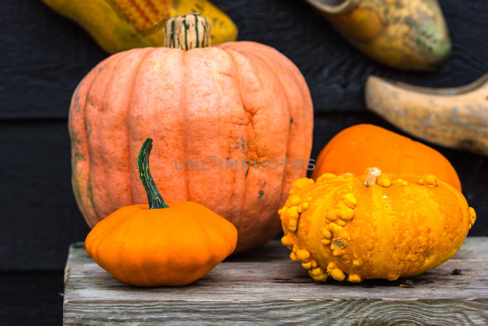 Orange pumpkins in a market. Shot with selective focus