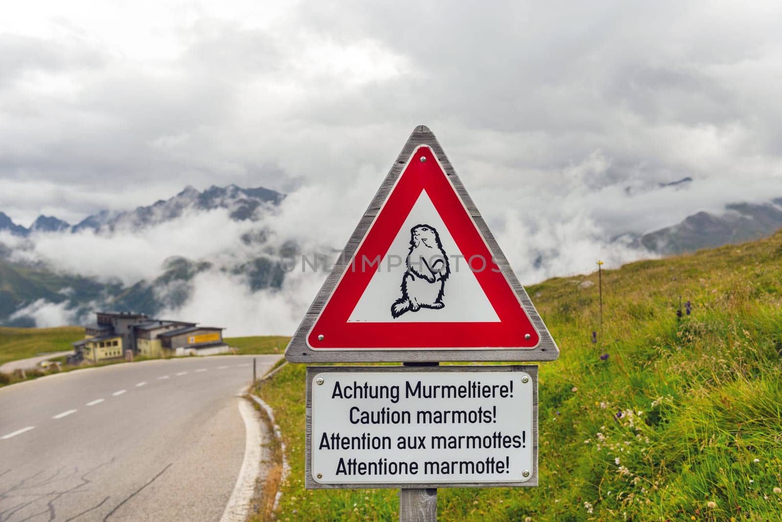 Caution marmots traffic sign on an Alpine road in Austria