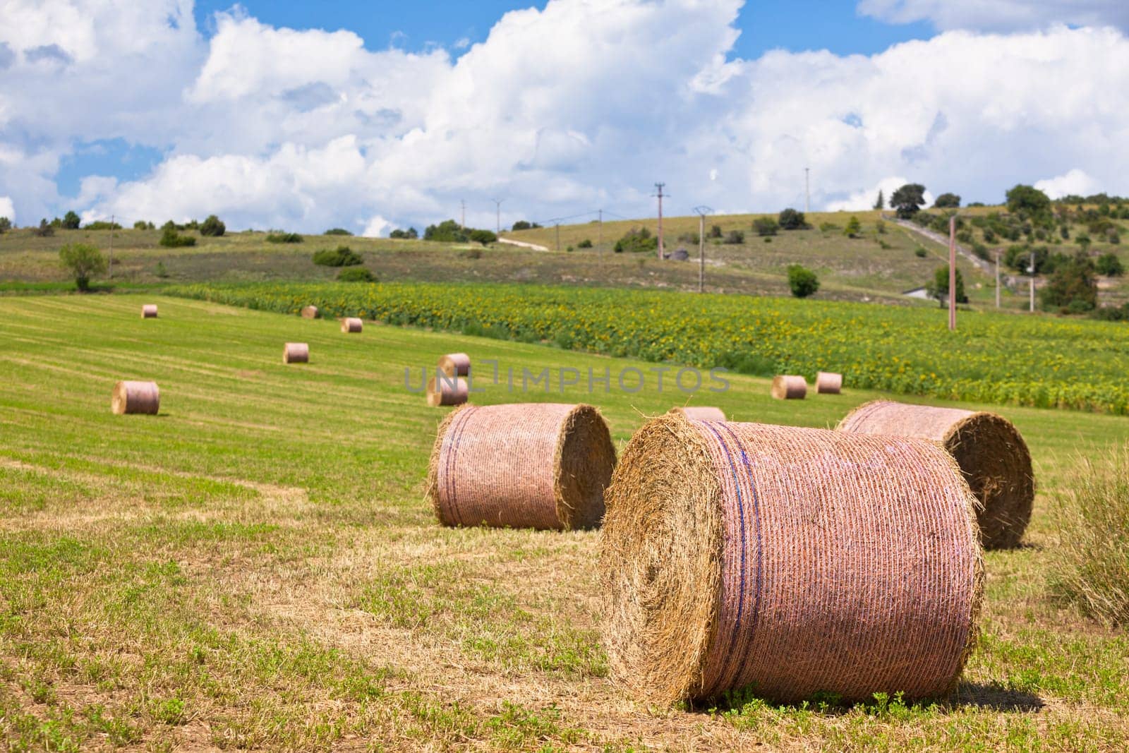 Rural landscape with Farmland and Straw bales in Provence, France