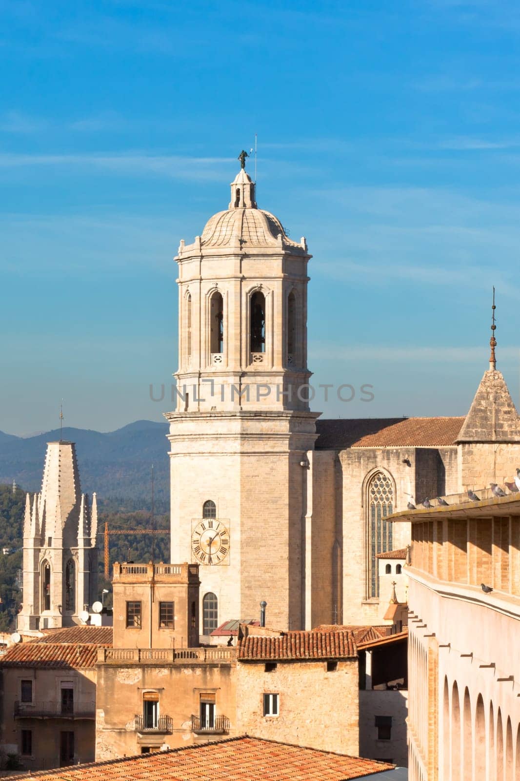Cathedral De Girona, Spain. Vertical day shot