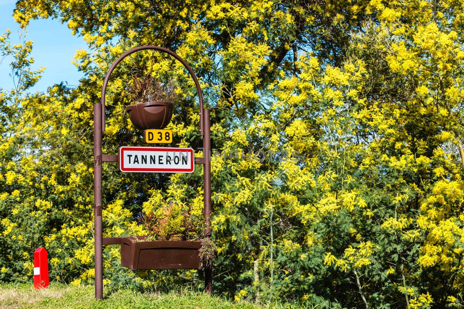 Road sign of Tanneron, small town in Provence-Alpes-Côte d'Azur, France. Part of Road of mimosa.