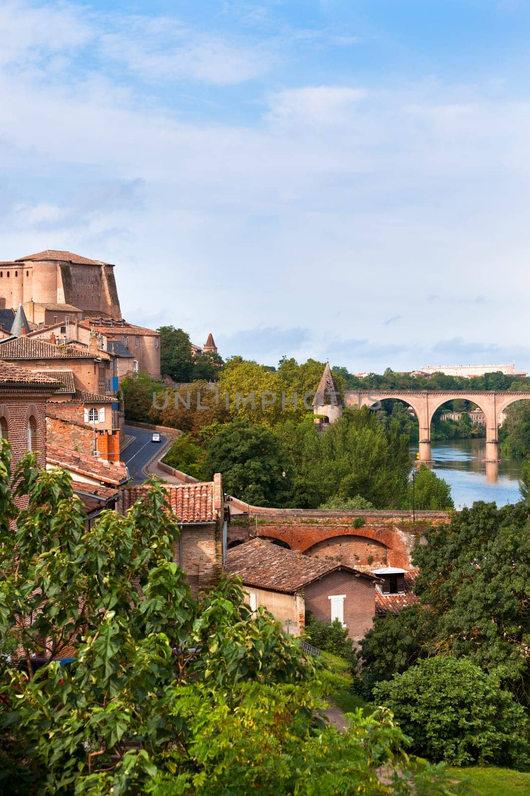 View of Albi Old town, France. Vertical shot