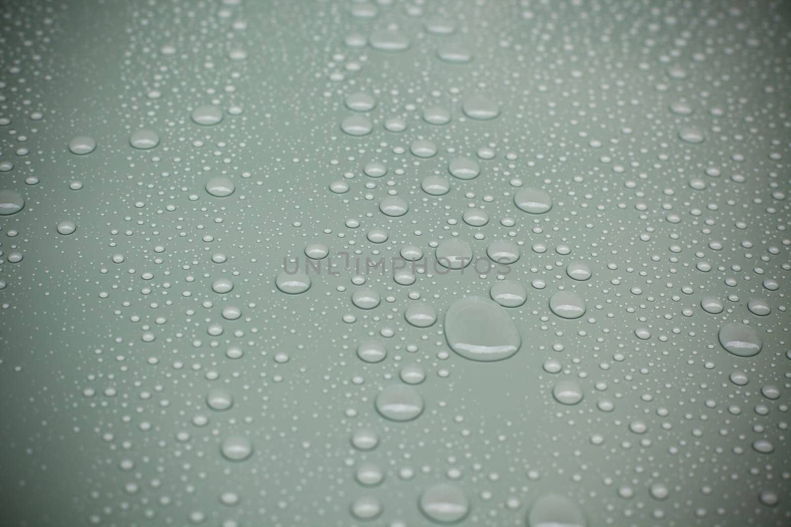 Water drops on green background. Horizontal shot