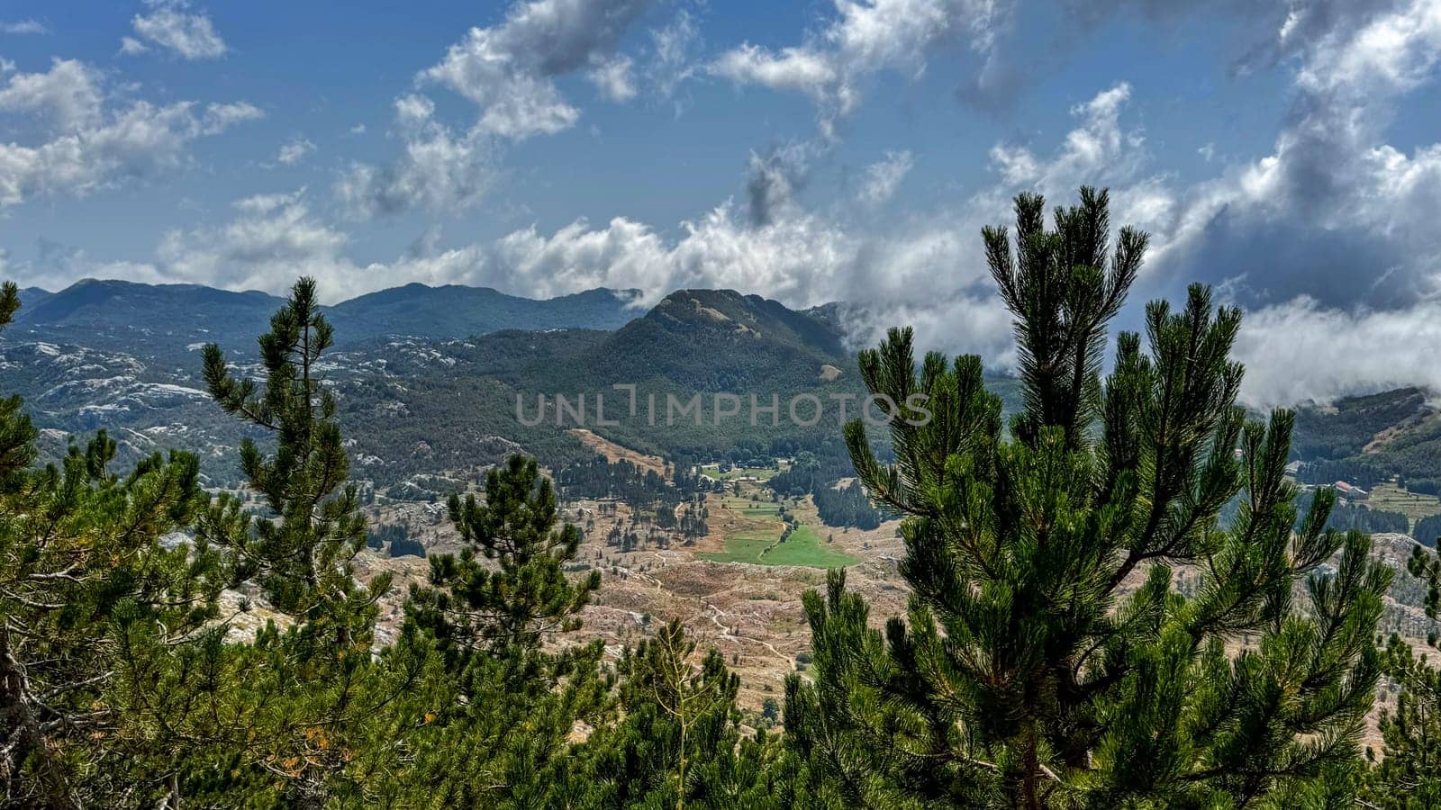 A lush green foreground of pine trees overlooking a broad mountainous terrain under a sky filled with scattered clouds and bright sunlight.