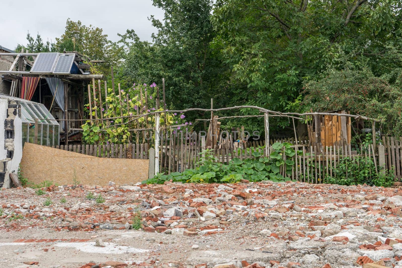 Natural garden with wooden fence, greenhouse and tree house in the big city