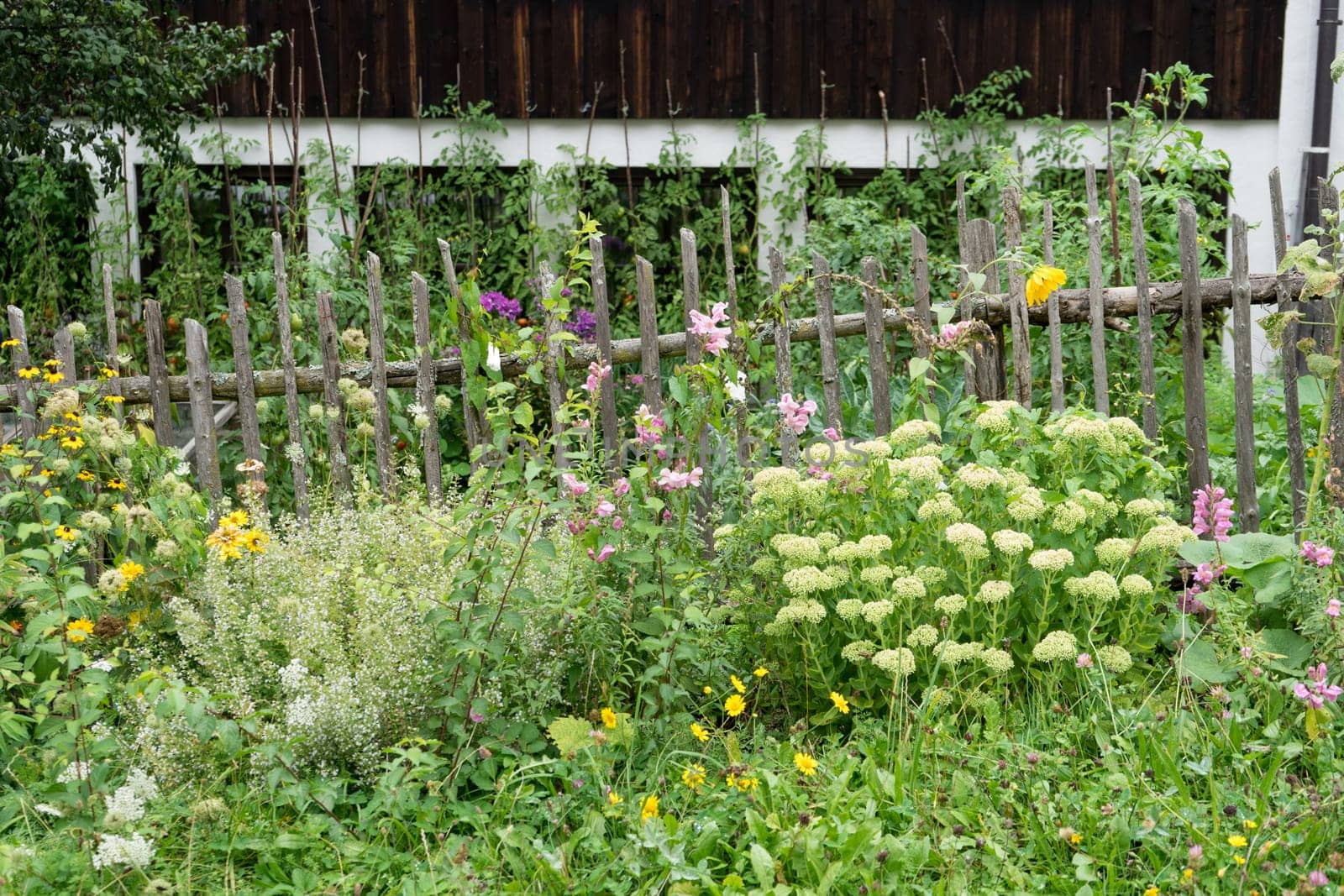 Natural garden with wooden fence and summer flowers