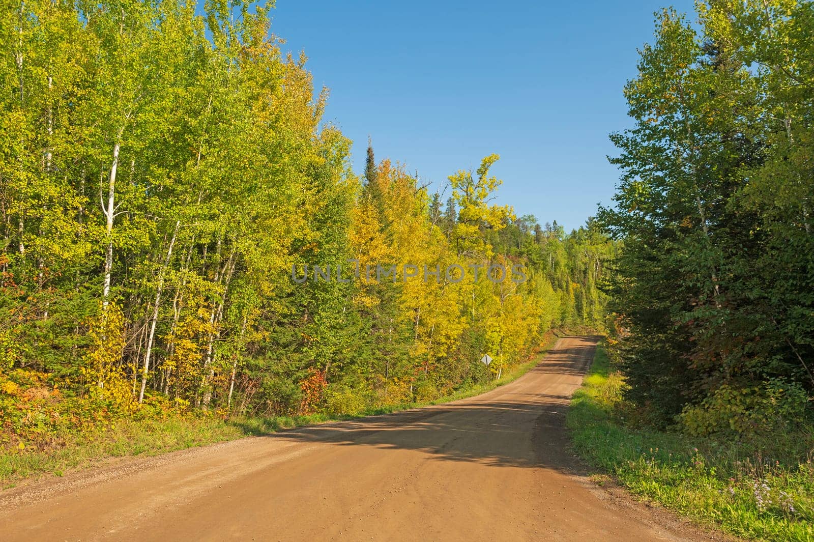 Rural Road on a Sunny Autumn Day on the Gunflint Trail in Minnesota