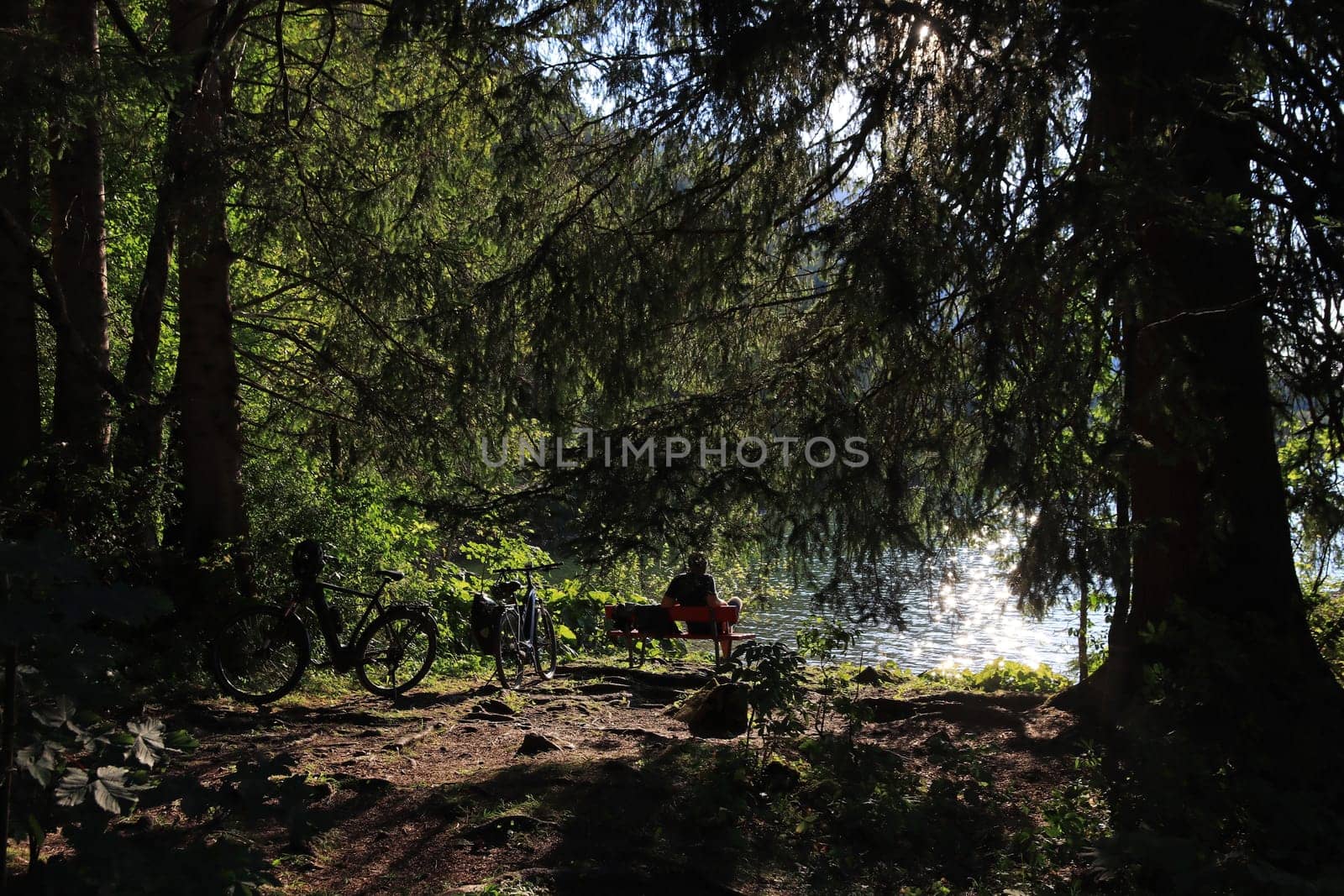 Backlit shot of a cyclist sitting on a bench by the lake