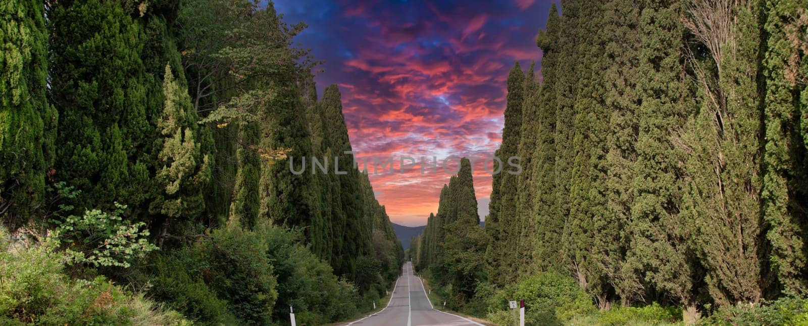 Tuscany, Italy. Asphalt line in nature, panoramic road to travel destination Bolgheri
