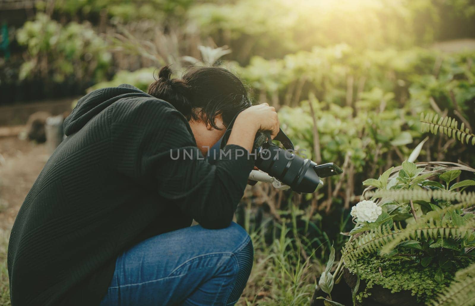 Person photographing flowers with a digital camera in a garden. Photographer photographing flowers in a garden