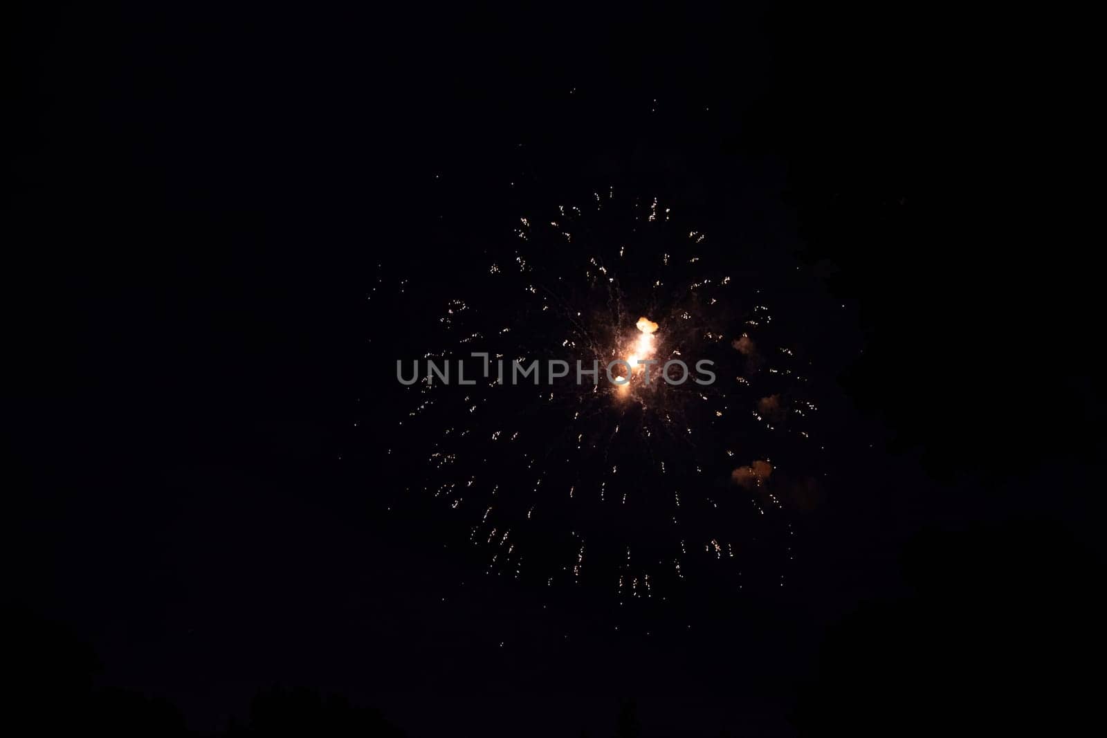 A colorful fireworks in the black night sky