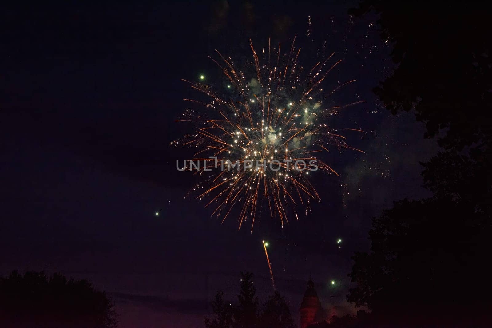 A colorful fireworks in the black night sky with the silhouette of a tree and a casle in the foreground