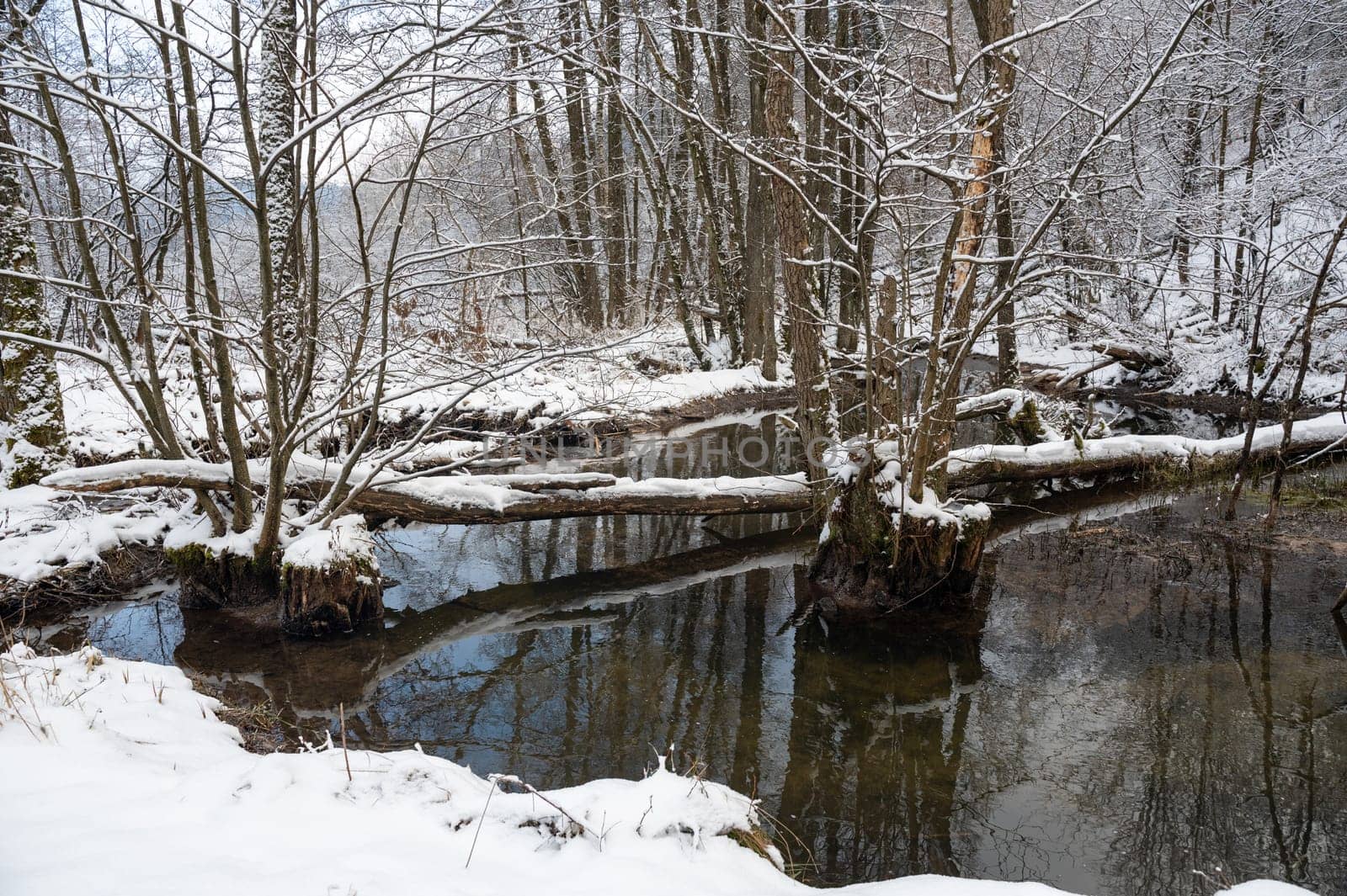 Winter landscape on a small river with snow