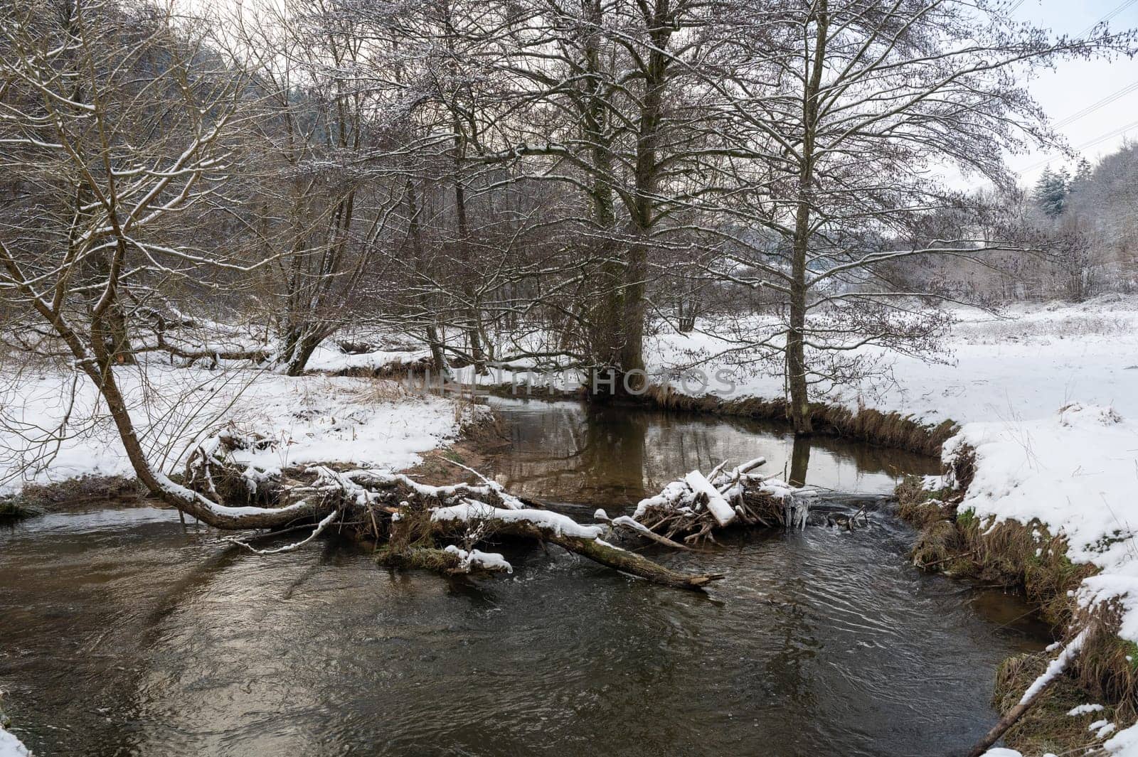 Little Dam built by beavers, damming a small body of water with wood and  snow