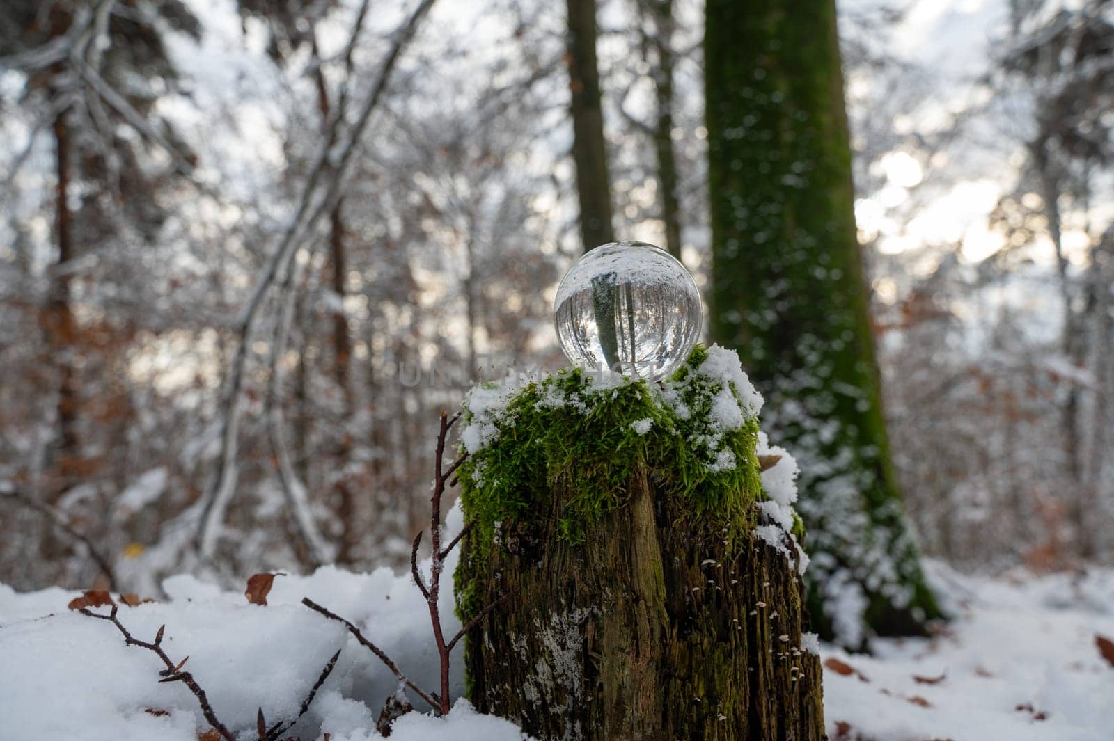 Glass ball on snow-covered rotten tree stump on a cold winter day in the forest, with reflections of trees in the glass