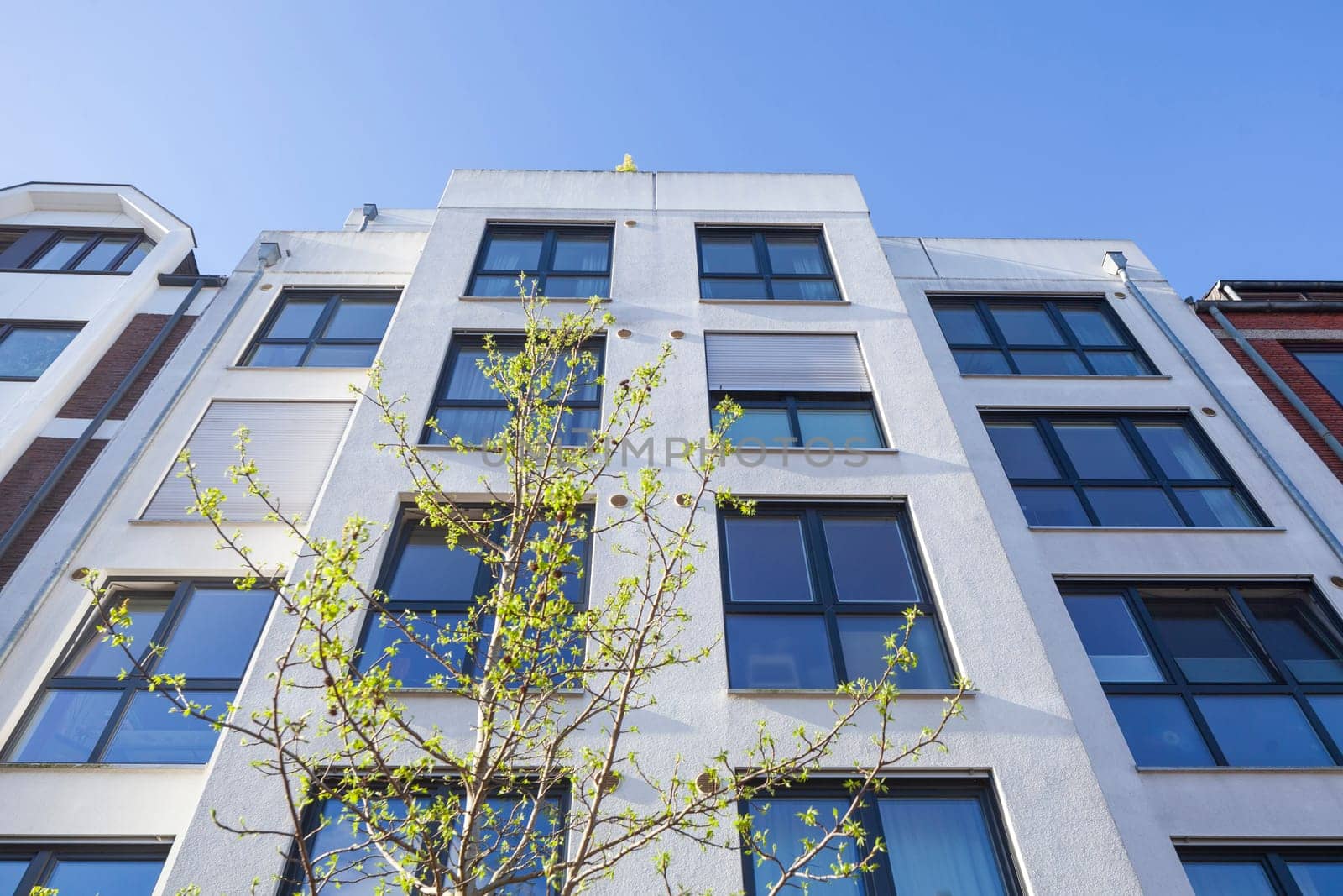 Modern white residential building in spring from the frog's perspective, Bremen, Germany