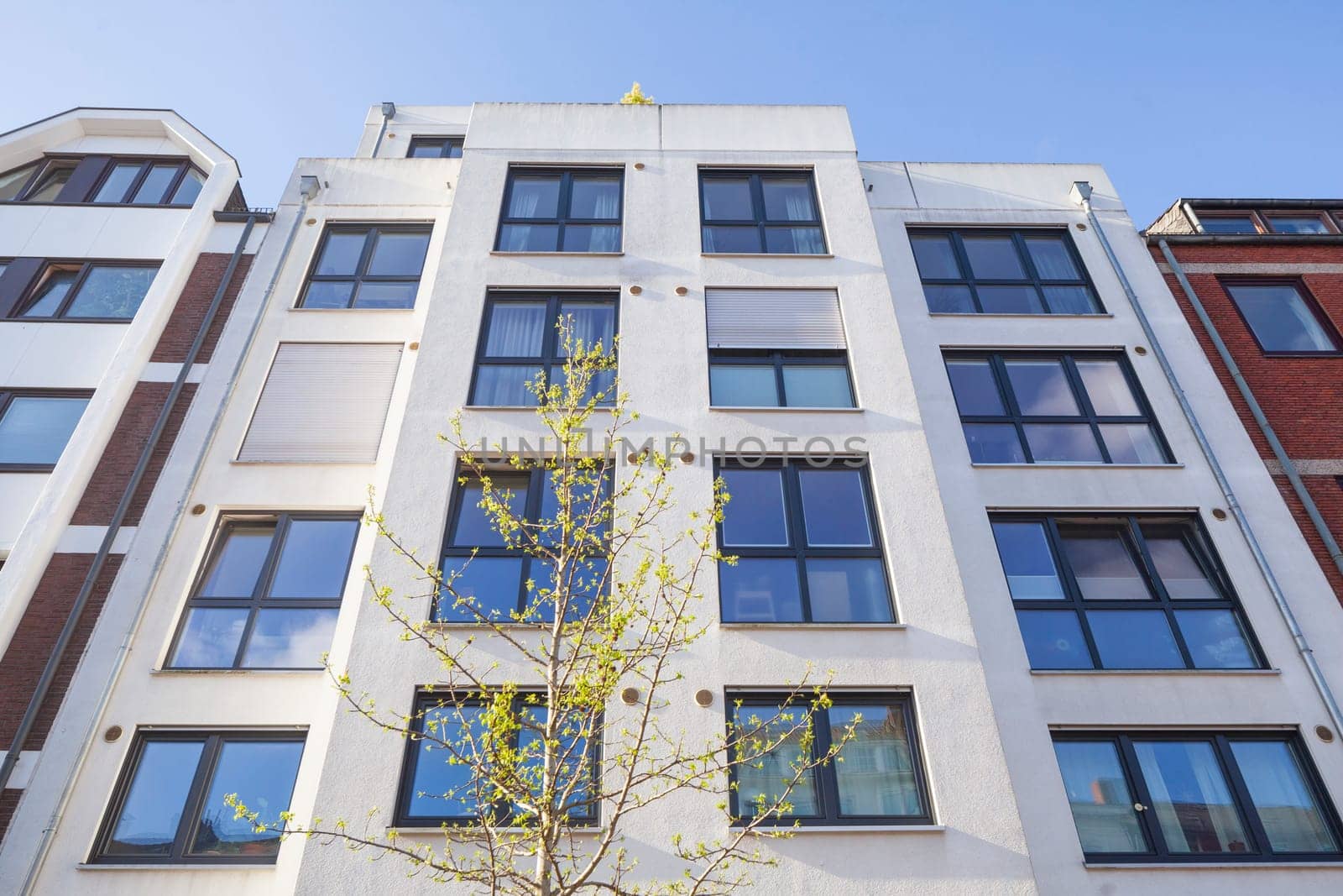 Modern white residential building in spring from the frog's perspective, Bremen, Germany