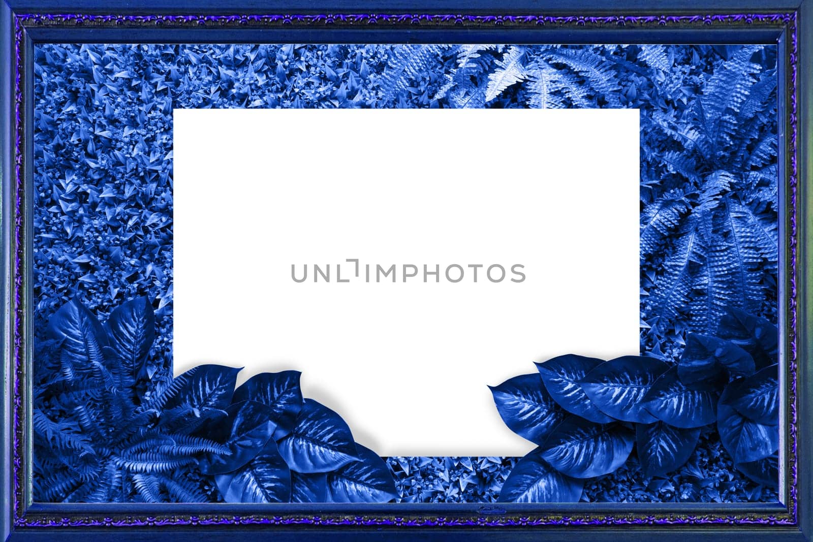 Classic blue color background from leaves and white blank for your design or text. Pantone color of the year 2020.