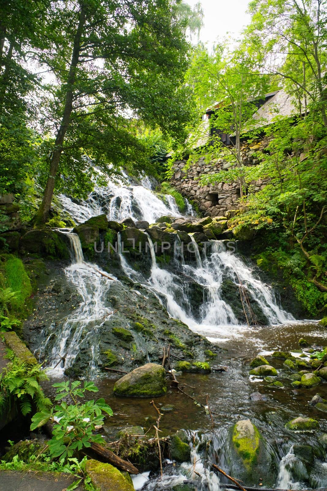 Small river in Sweden with several small waterfalls. Moss-covered stones. Forest on the shore. Scandinavian nature