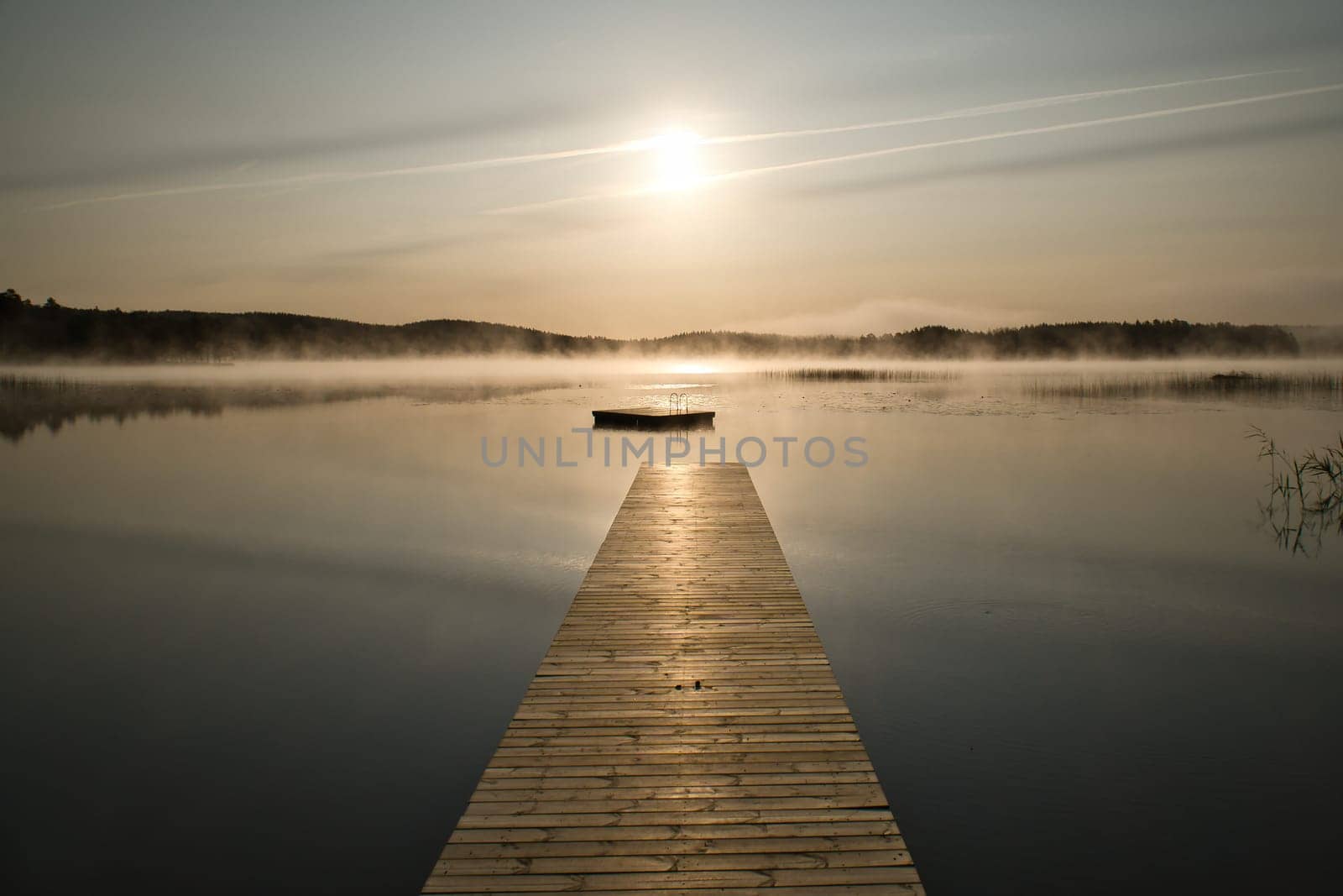 Wooden jetty in the morning in fog, on a Swedish lake. A floating island in the background. Scandinavian nature