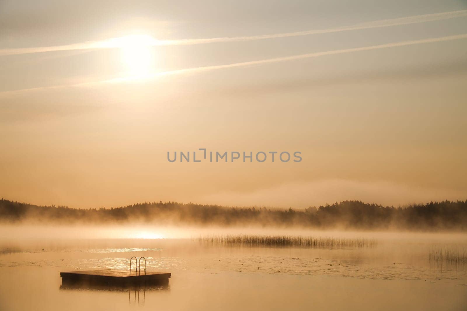 Floating island in the morning in the fog on a Swedish lake. Forest in the background. Scandinavian nature