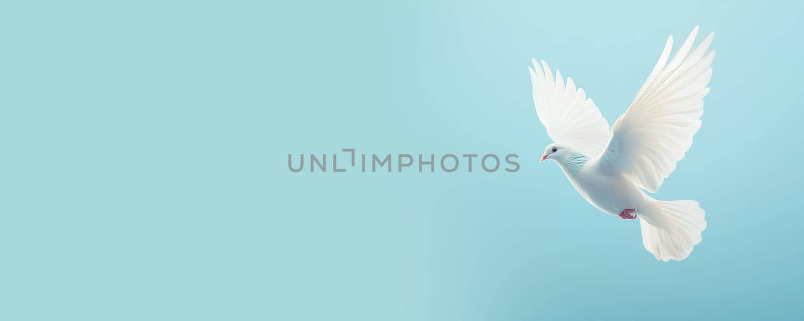 Dove flying in blue sky, international peace day, faith, freedom, charity and help concept, humanitarian aid