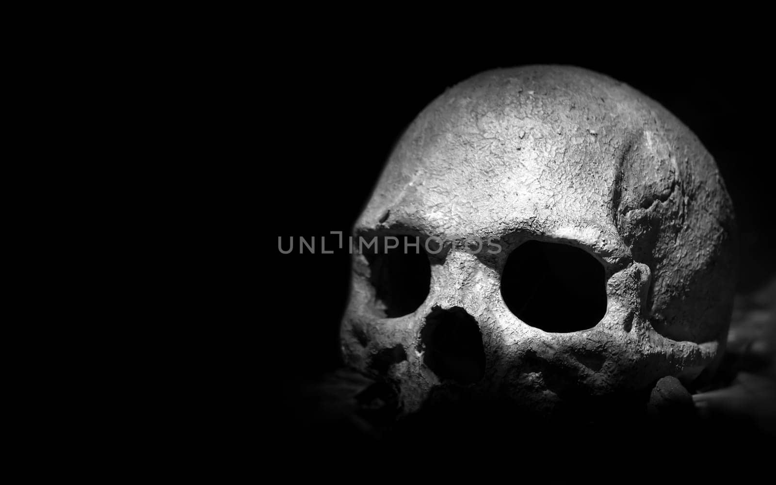 Scary skeleton. Real skull on dark background. Copy space.