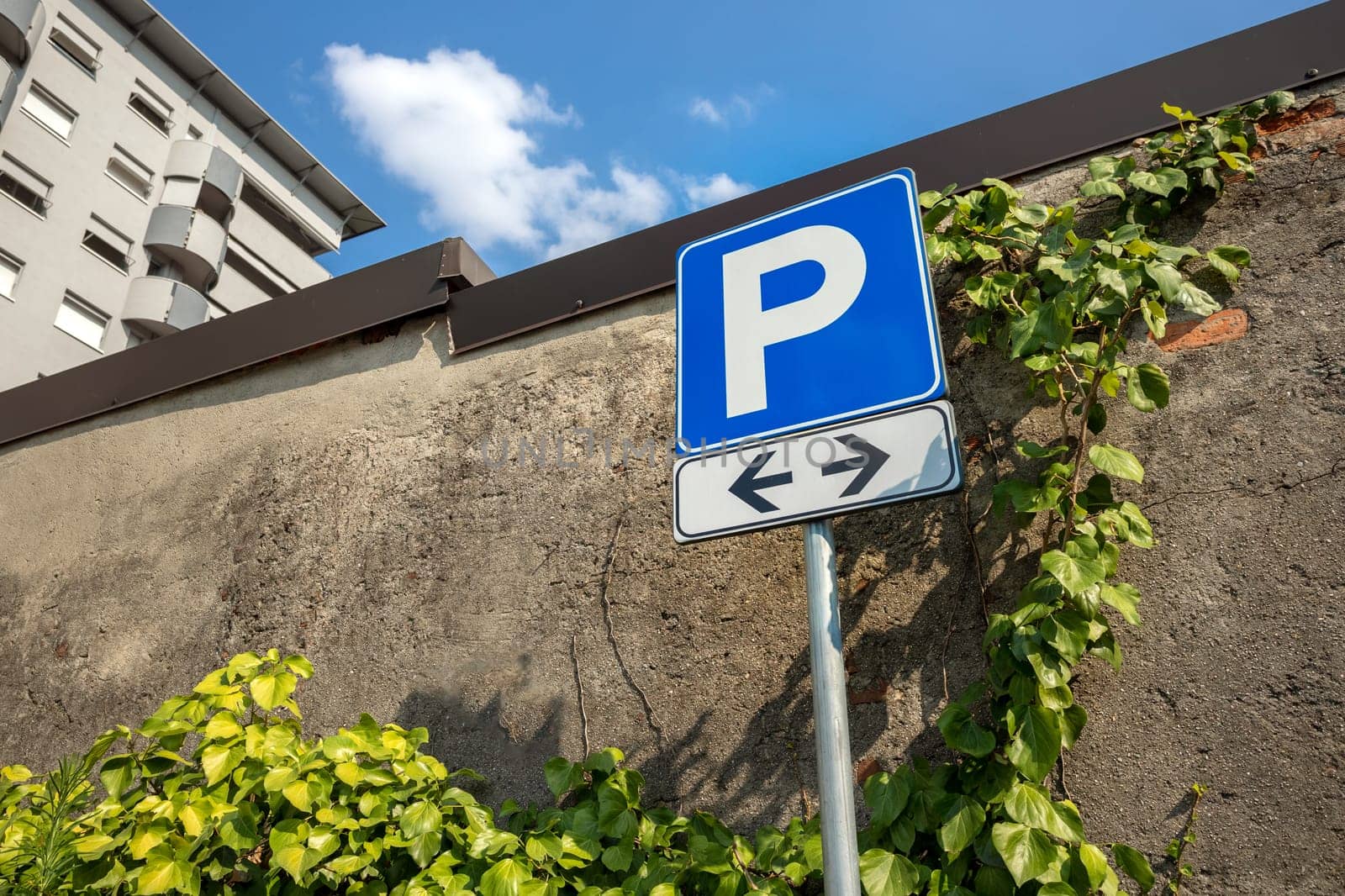 Free parking signal. Next to it, tree and hedge. Bottom view.