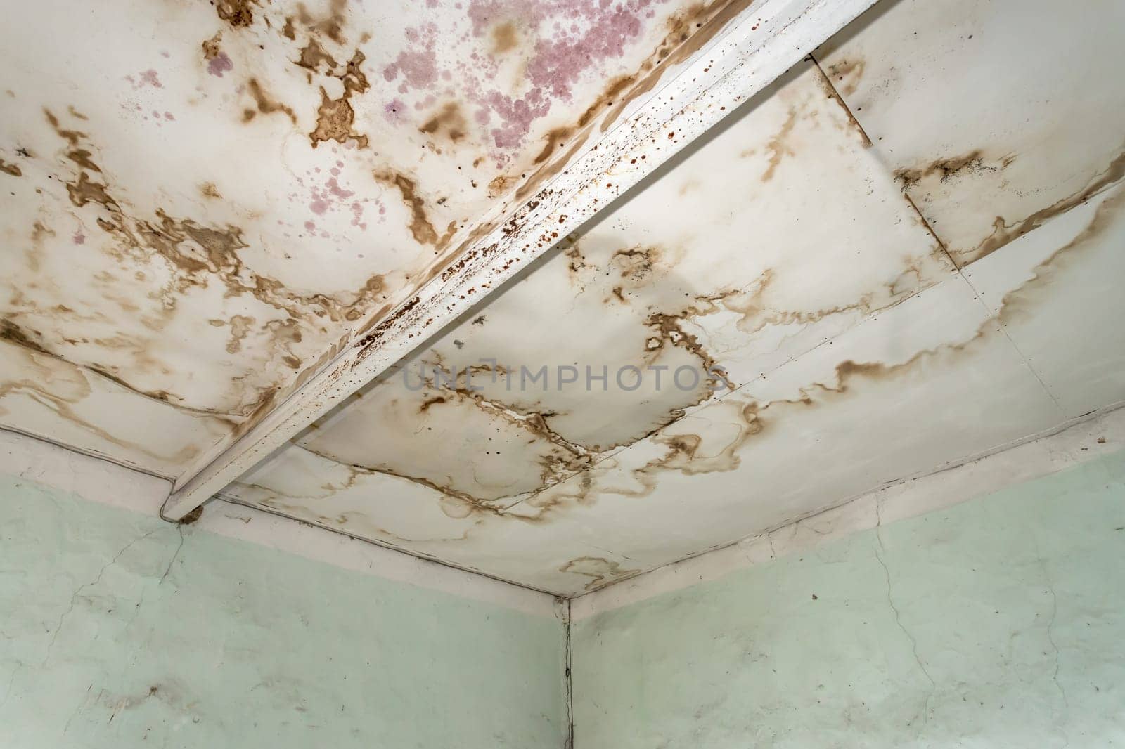 Strong mildew in large stains is located on interior wall in apartment