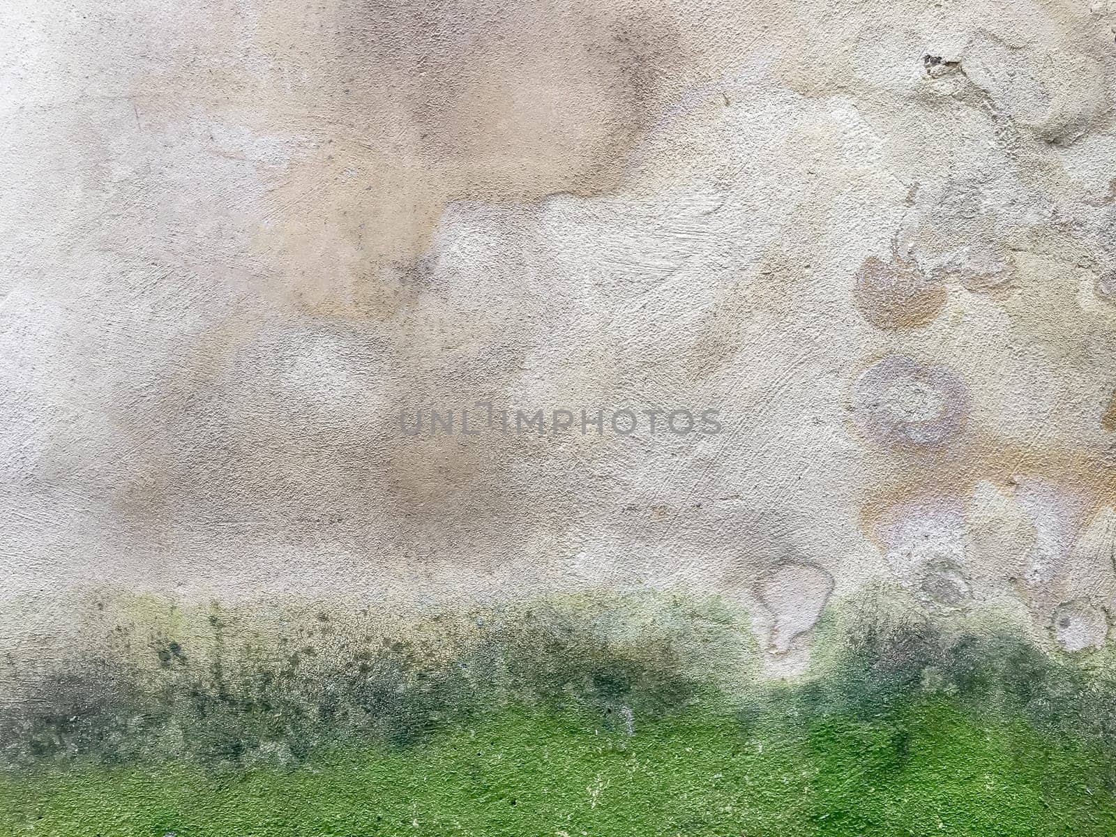 Wall damaged by moisture, mold, moss. Poor living conditions. The problem with high humidity, the fight against the fungus.