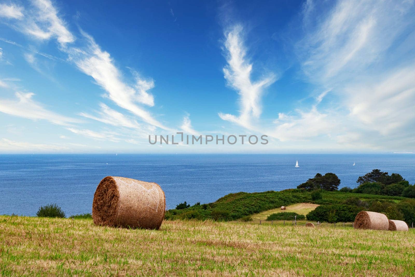 A field of hay is next to the ocean. The sky is blue and there are clouds in the background