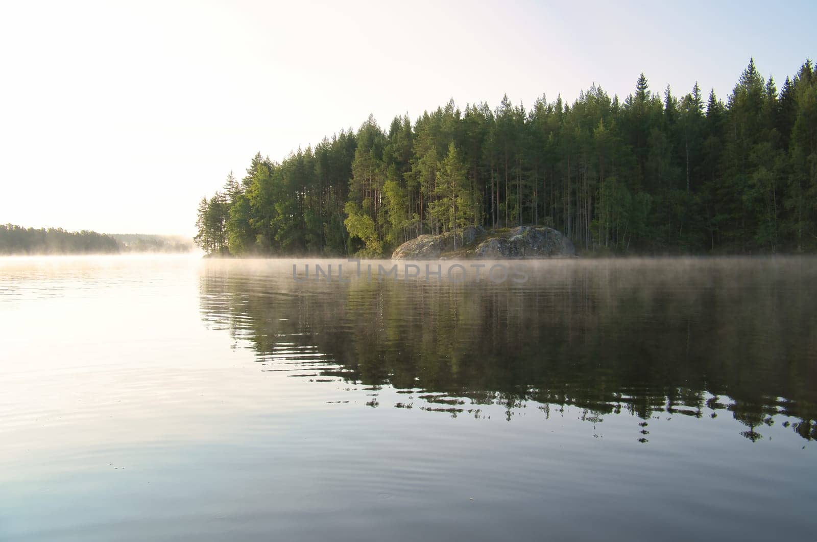 Lake in Sweden at sunrise with romantic light, blue water and trees on the shore. Scandinavian nature in the north