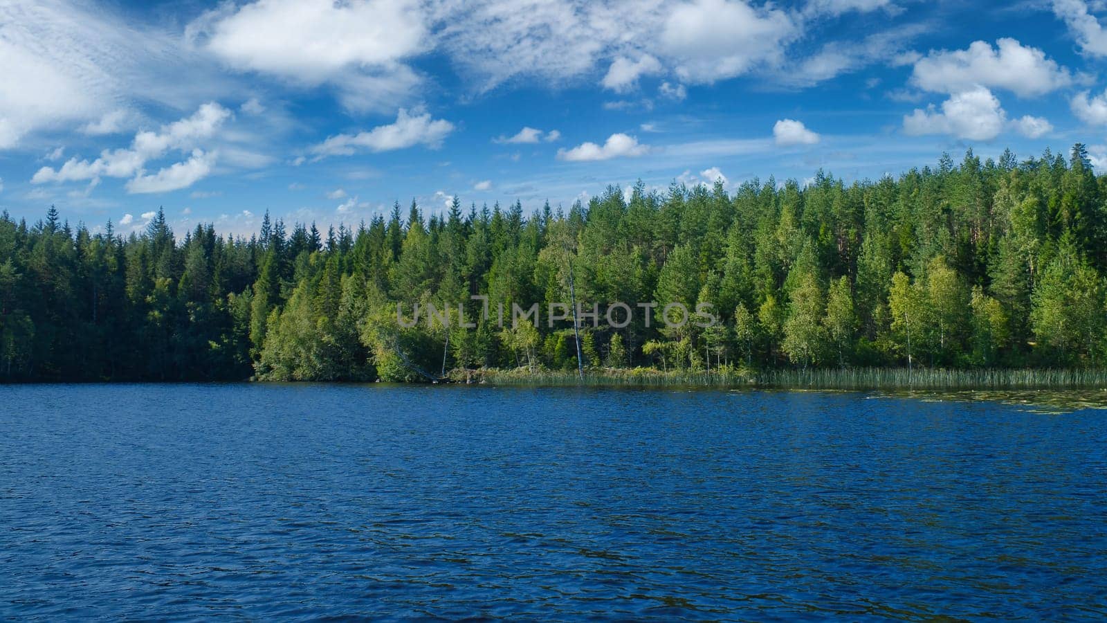 Lake in sweden with blue sky and white clouds in front of blue water. Trees on the shore. Nature from Scandinavia