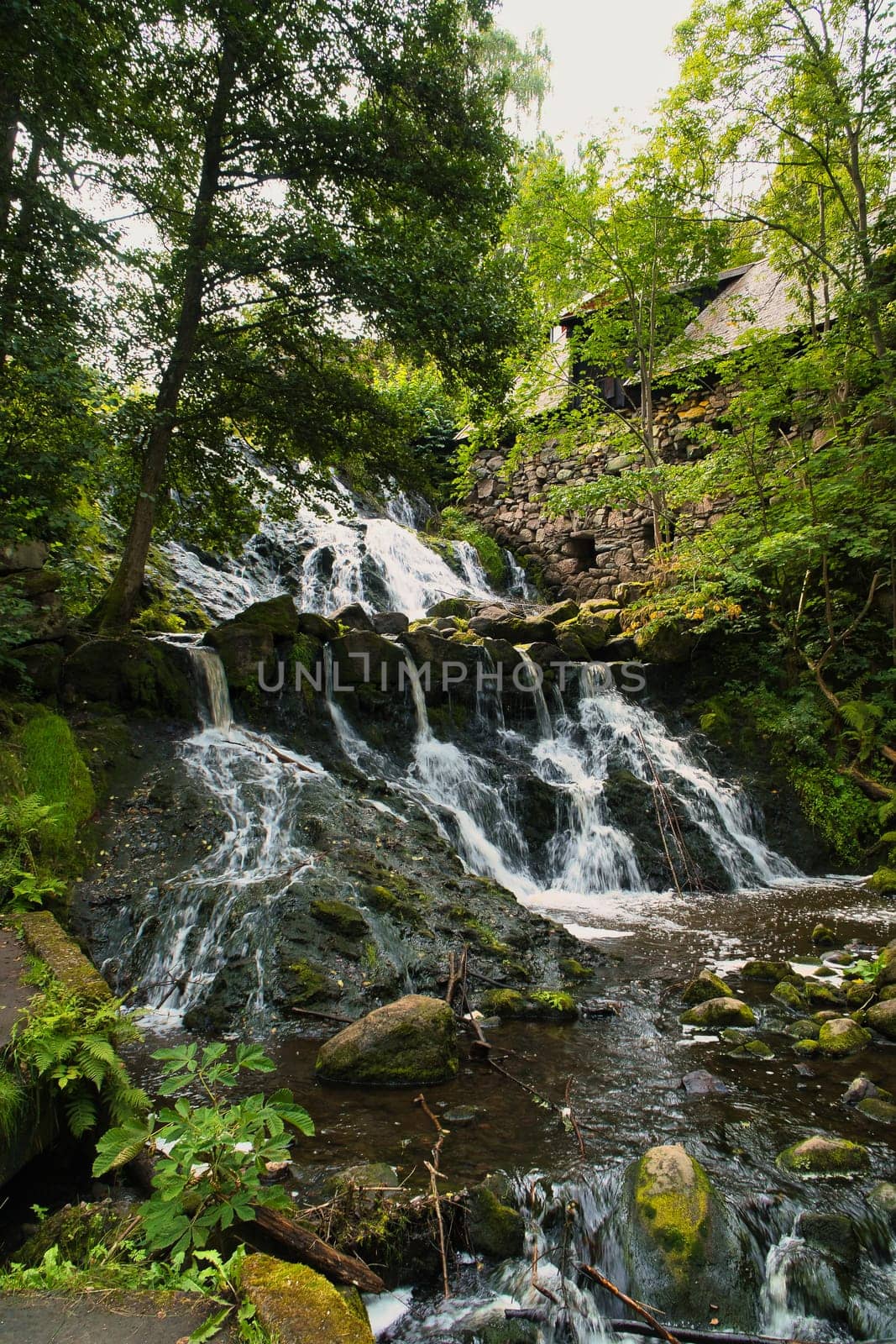 Small river in Sweden with several small waterfalls. Moss-covered stones. Forest on the shore. Scandinavian nature