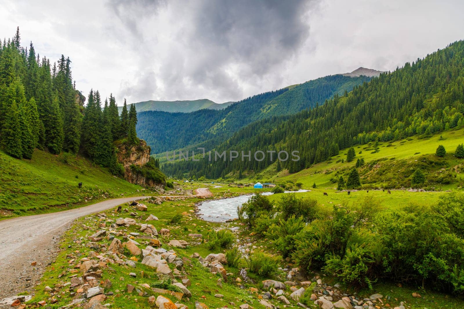 green grass and forest covered mountain slopes at rainy summer day in Grigor'yevskoye Ushchel'ye in Kyrgyzstan