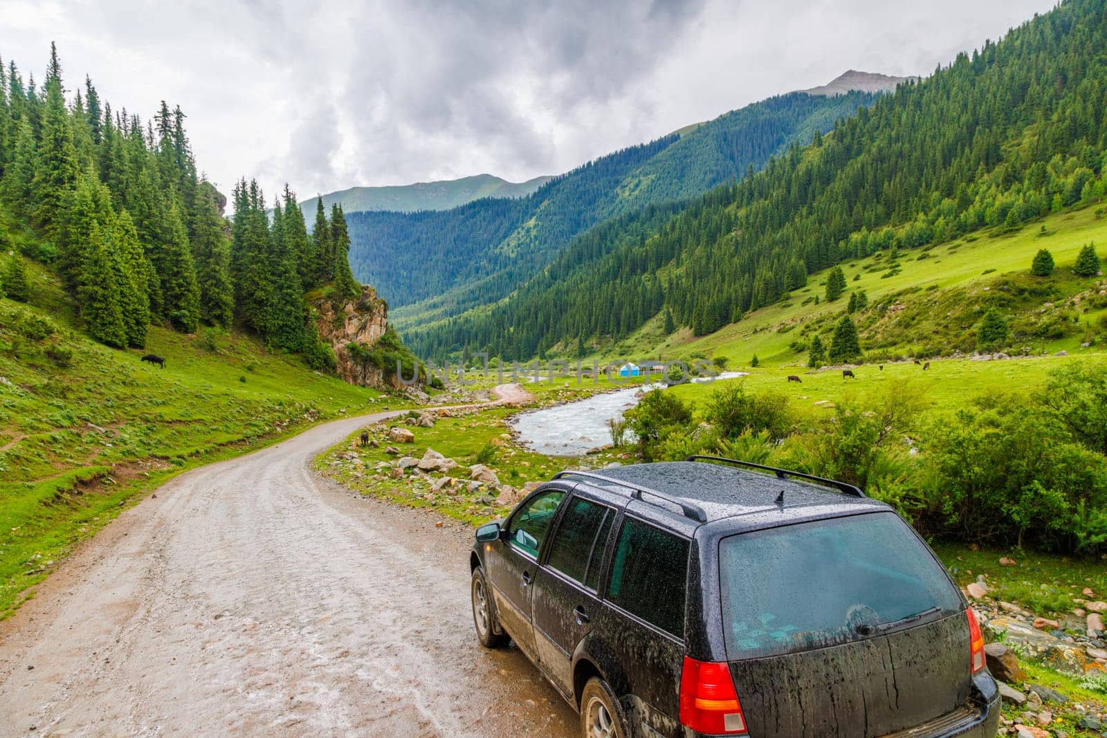 old black German station wagon car on a side of wet dirt road with green grass and forest covered mountain slopes at rainy summer day