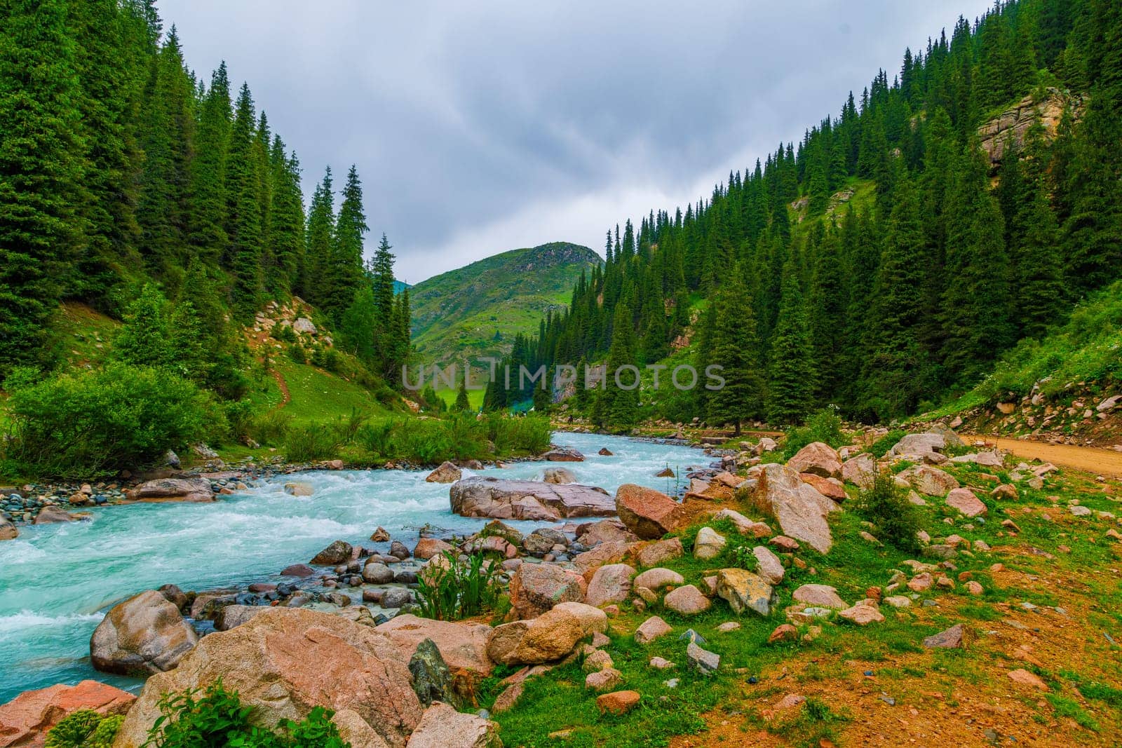 rainy weather summer mountain river landscape with rocks on river banks and spruce forest on mountain slopes
