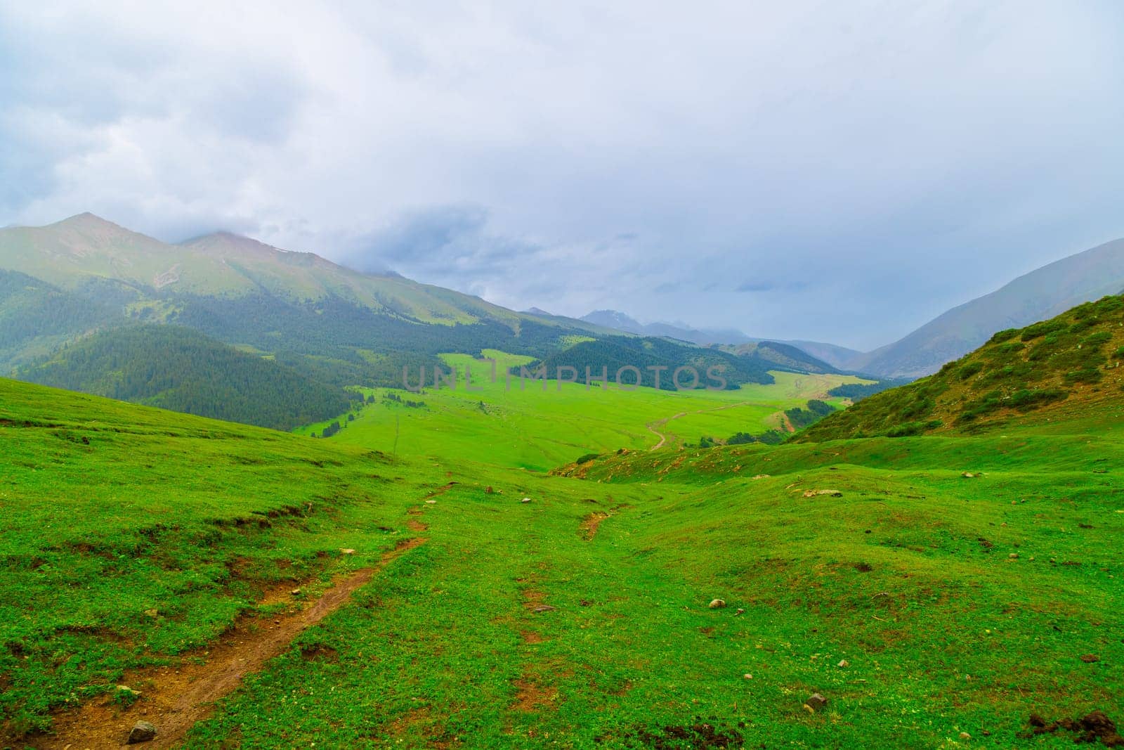 green grass covered mountains at overcast rainy summer day