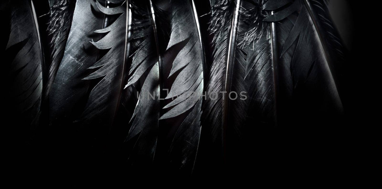 Halloween background with black raven feathers on dark grunge backdrop. Horror gothic abstract design with copyspace. Closeup of bird wing texture.