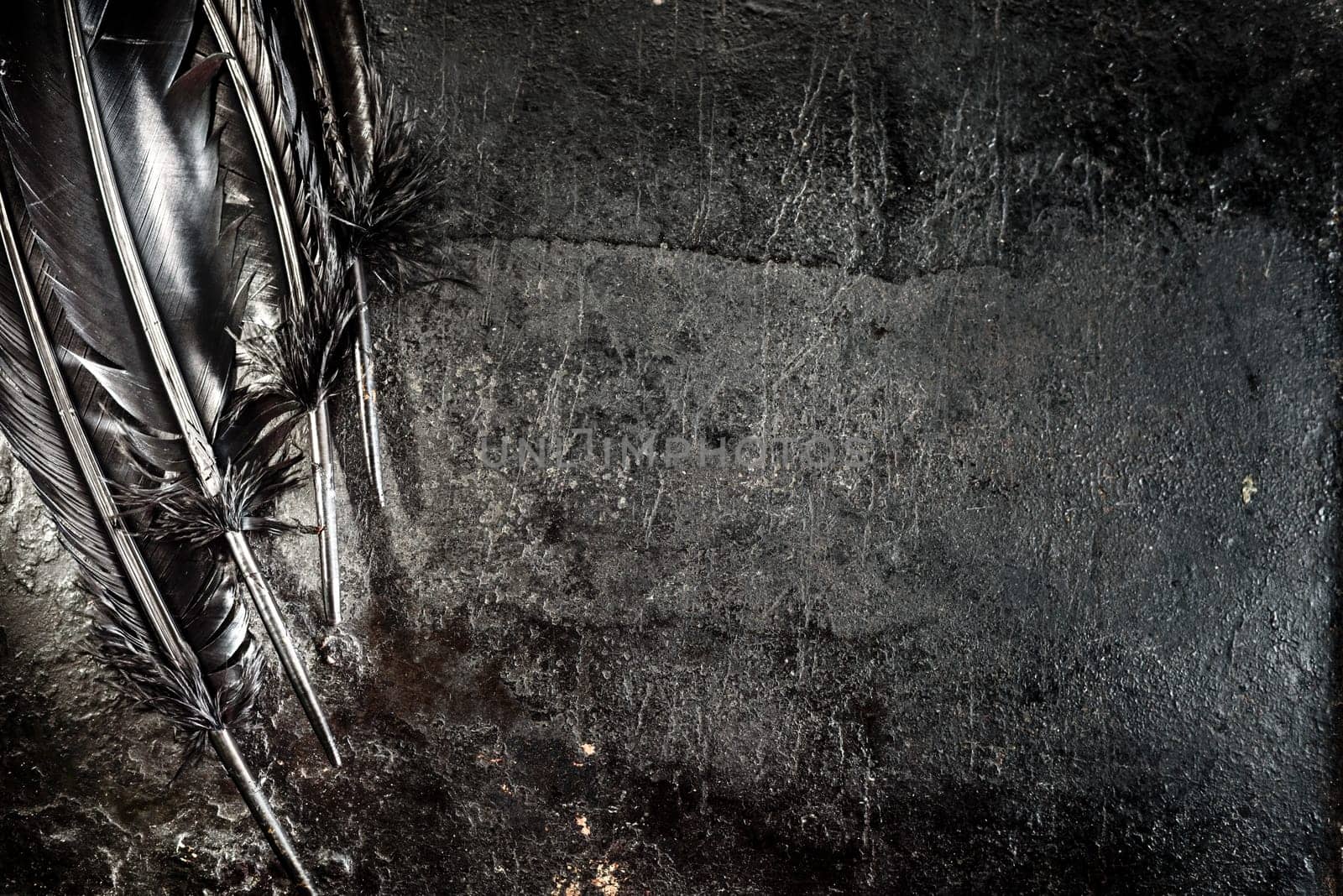 Halloween background with black raven feathers on dark grunge backdrop. Horror gothic abstract design with copyspace. Closeup of bird wing texture border.