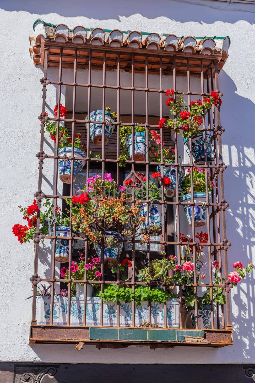Potted flowers on a grated window covering, Albaicin, Albayzin, Granada, Spain