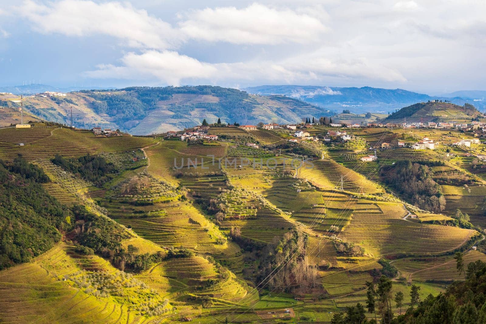 View of the Douro valley with the vineyards of the terraced fields.  Photographed in spring, Portugal