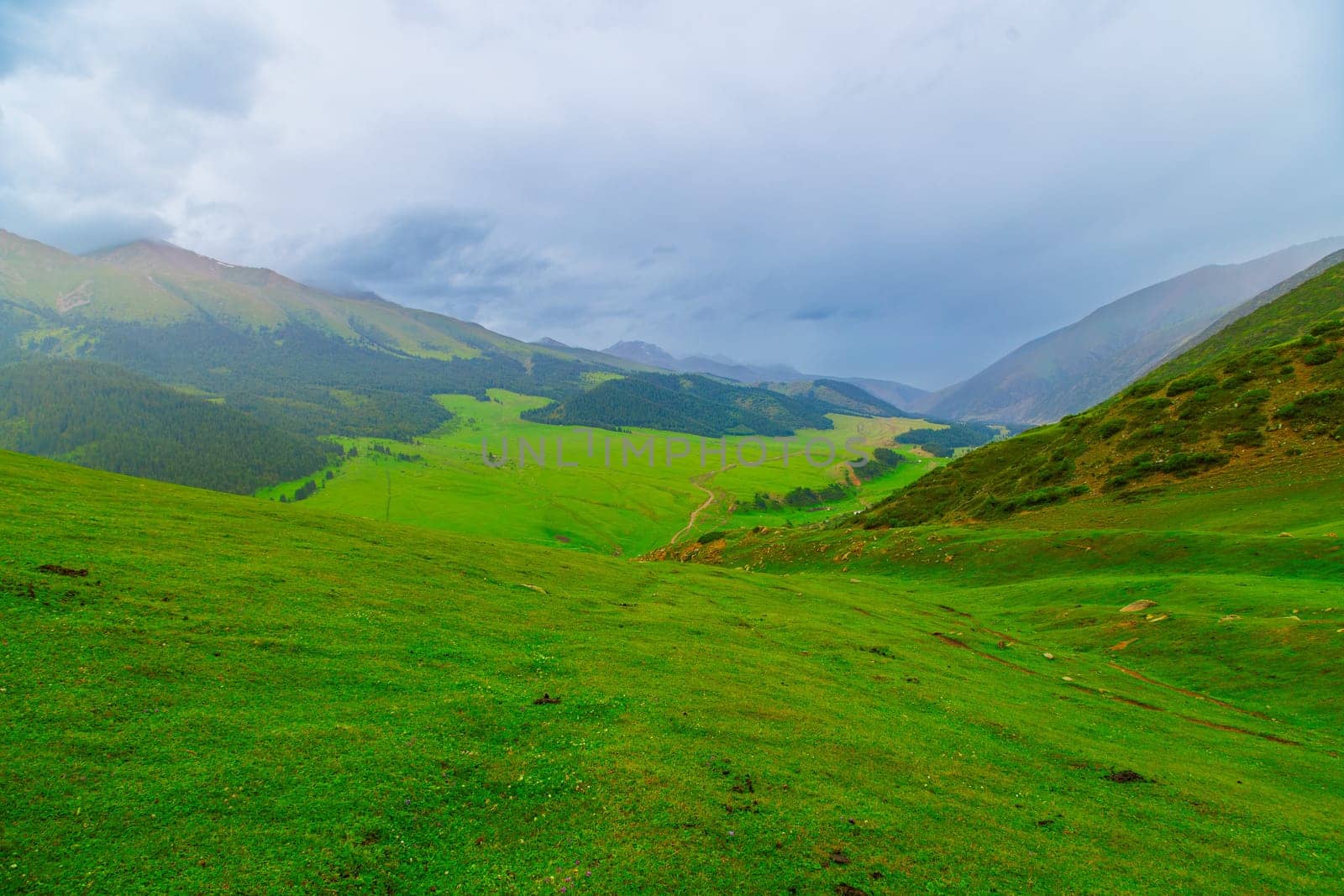 green grass covered mountains at overcast rainy summer day